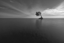 STANDING ALONE