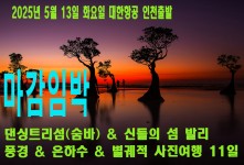 댄싱트리섬(숨바) & 신들의 …
