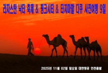 라자스탄 낙타 축제 & 핑크시…