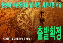하포 6일
