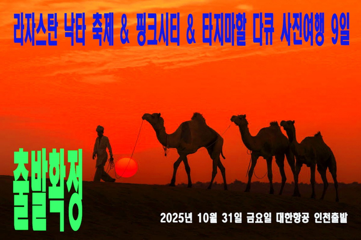 9bd49d9529a38c79c82b7219499e52f3_1749650