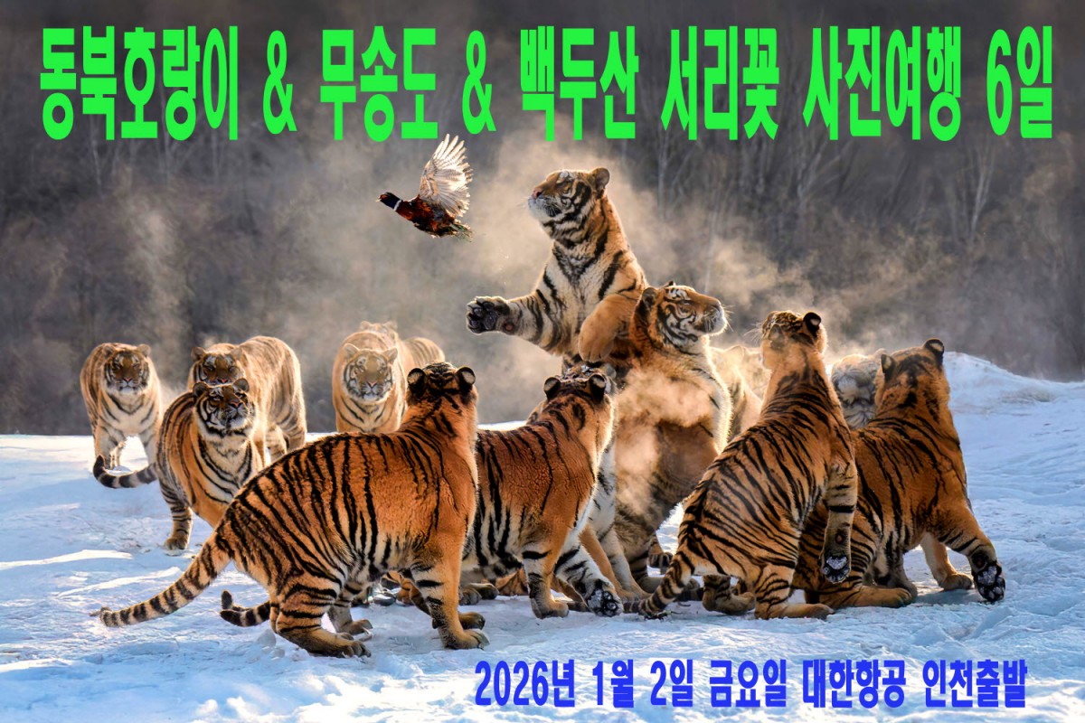 b024c31617f9abbdc520fbf693453b0f_1751469