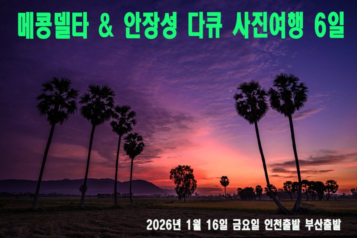 b024c31617f9abbdc520fbf693453b0f_1751474