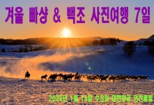 겨울 빠샹 & 백조 사진여행 …