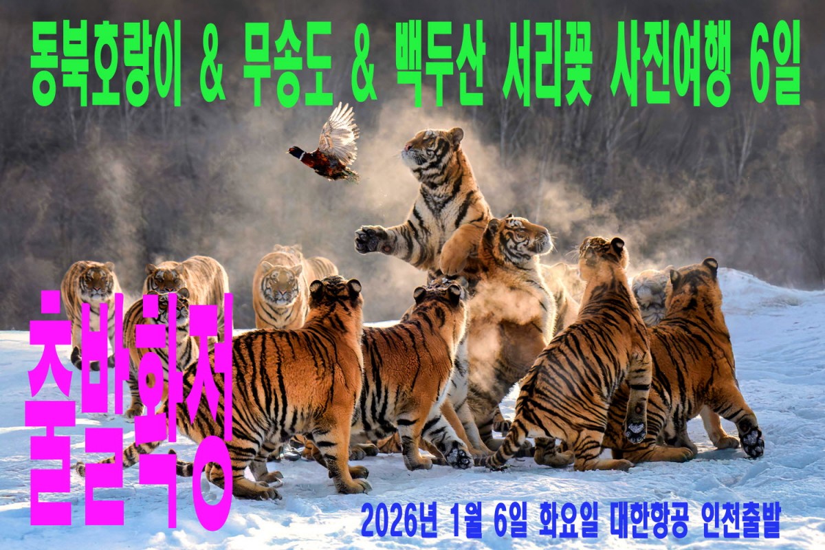 61591d6b9c7e17b7da7093b5c19e91a9_1759062