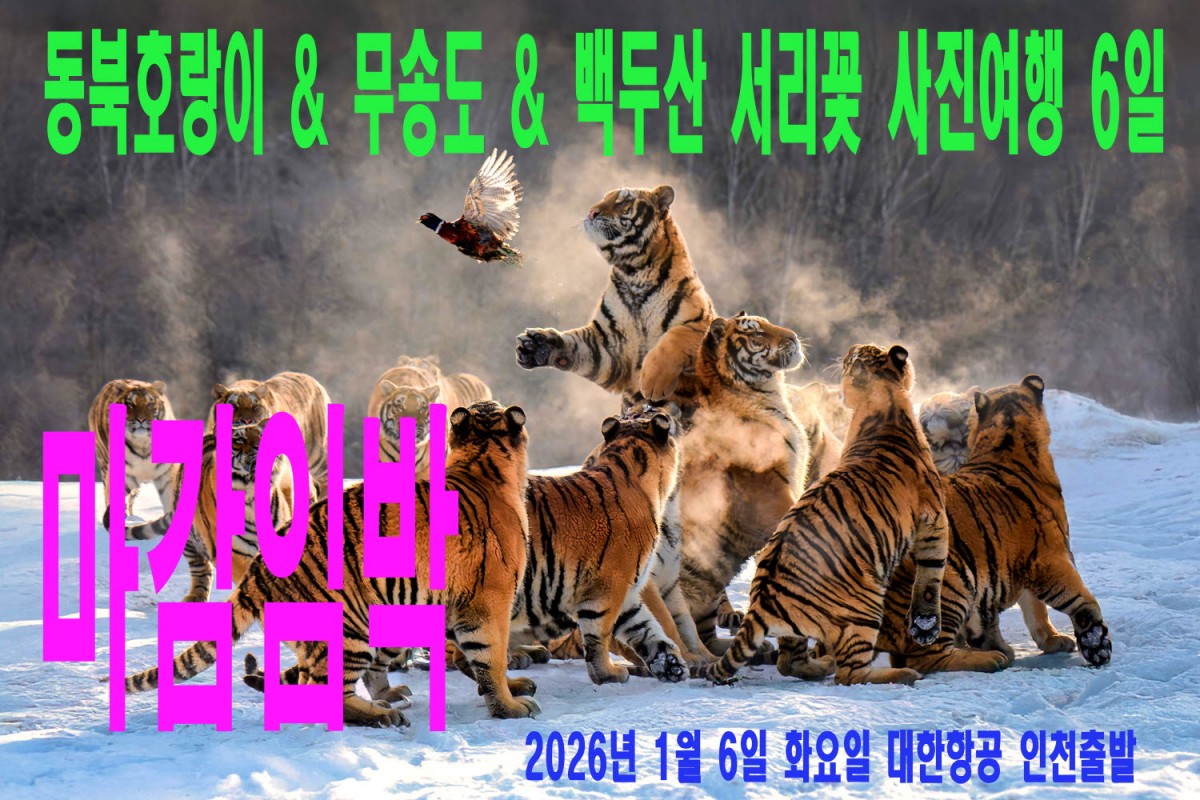 2fce44d46d0170eea929d5a5eae4ad27_1761672