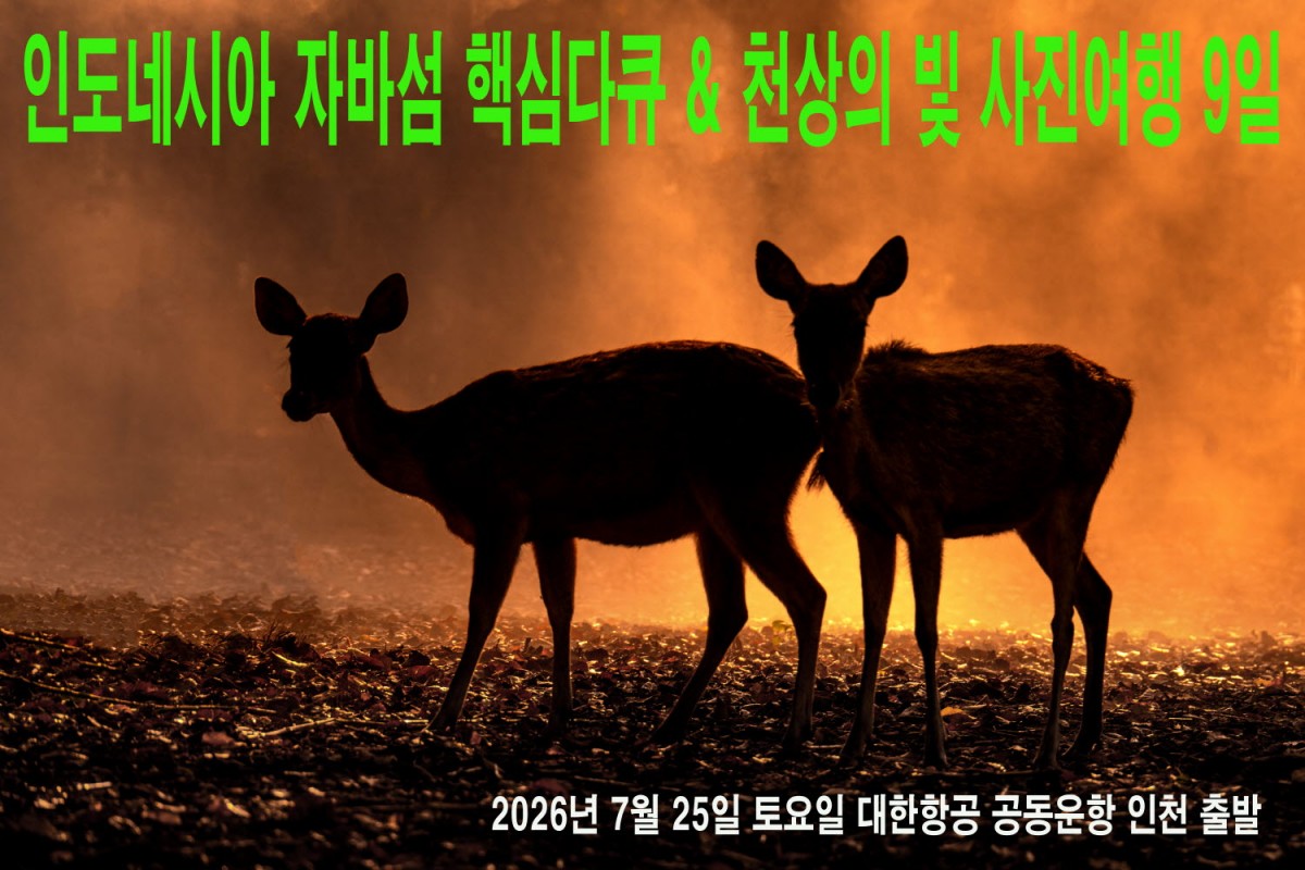 969569bcabeea8098cffe970efb7a342_1761666