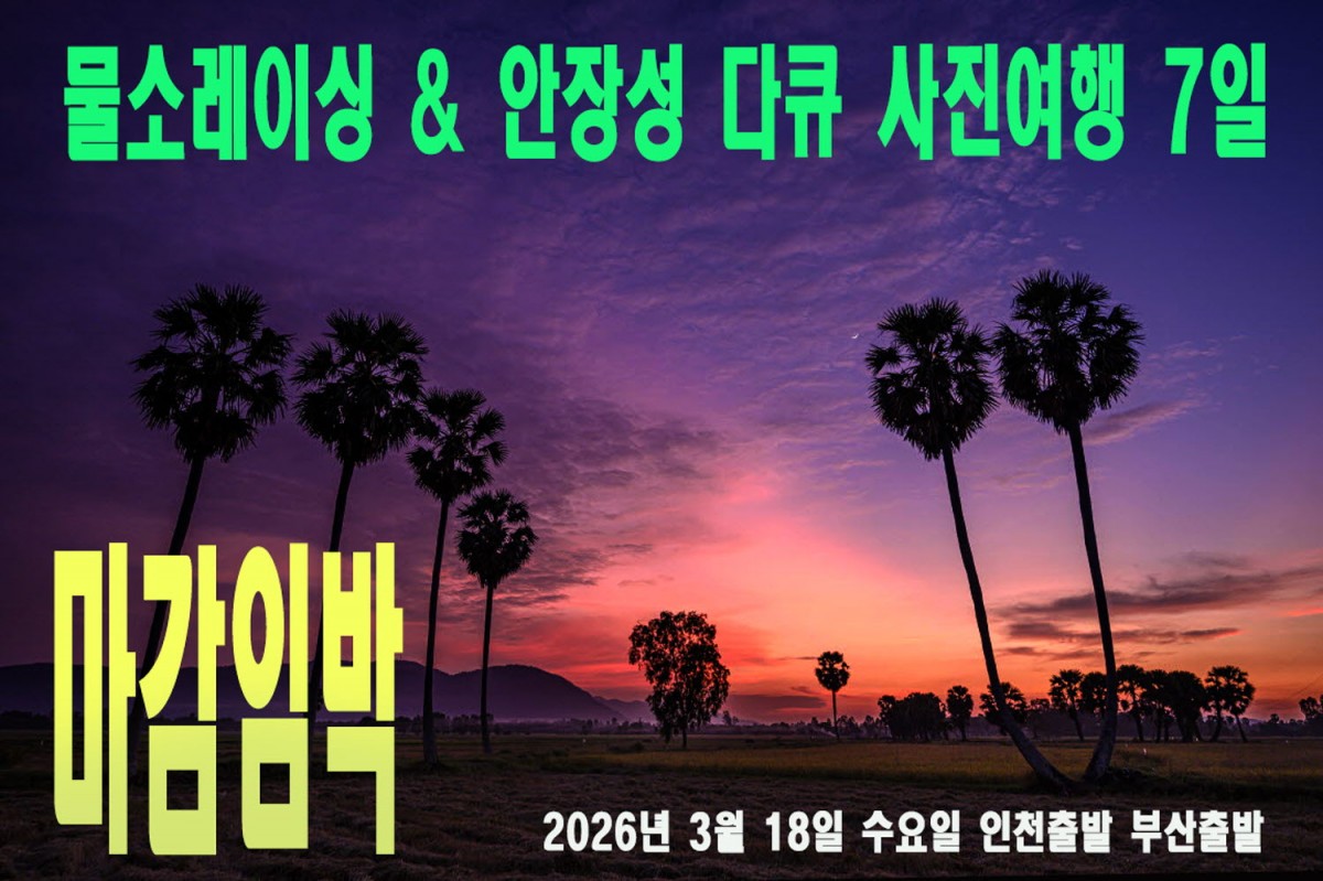 4ba9f169a7cd41ecad88e95d958c84ae_1763551