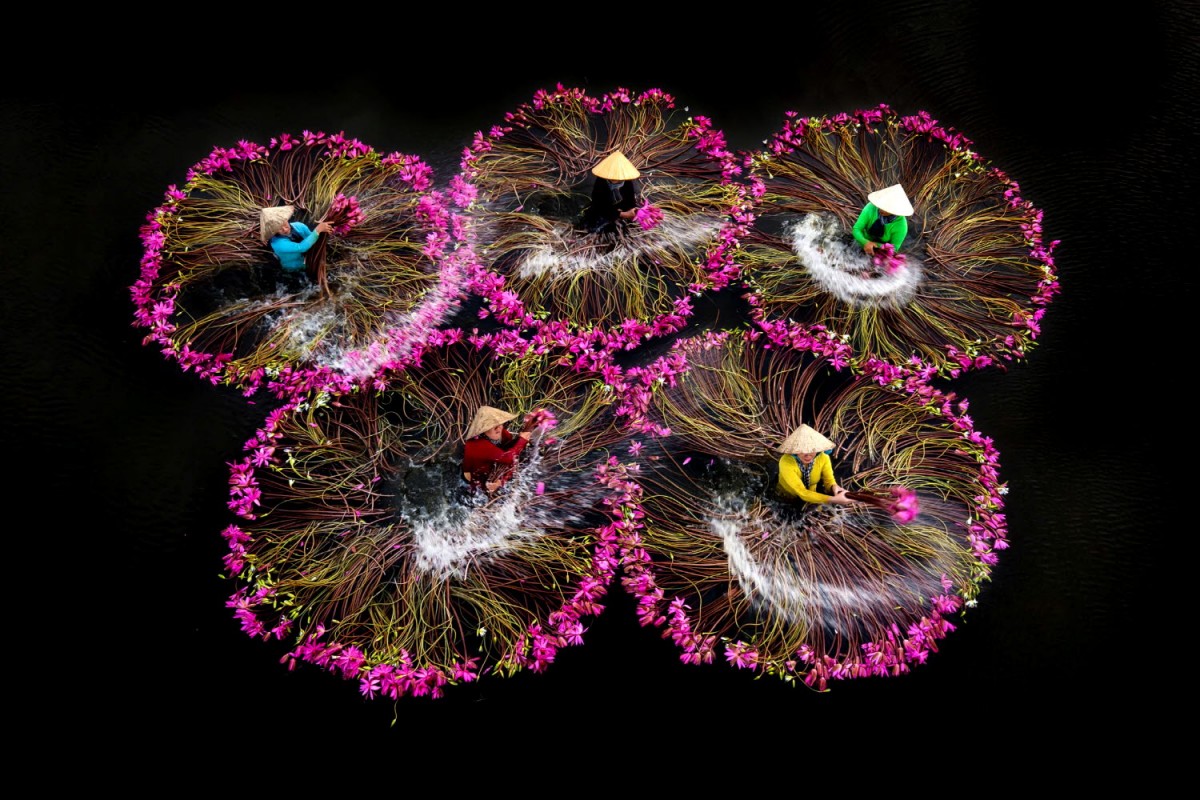 4ba9f169a7cd41ecad88e95d958c84ae_1763551