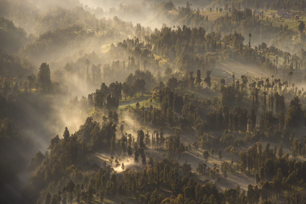 e40bf1fee11333885840c081ed696964_1769876