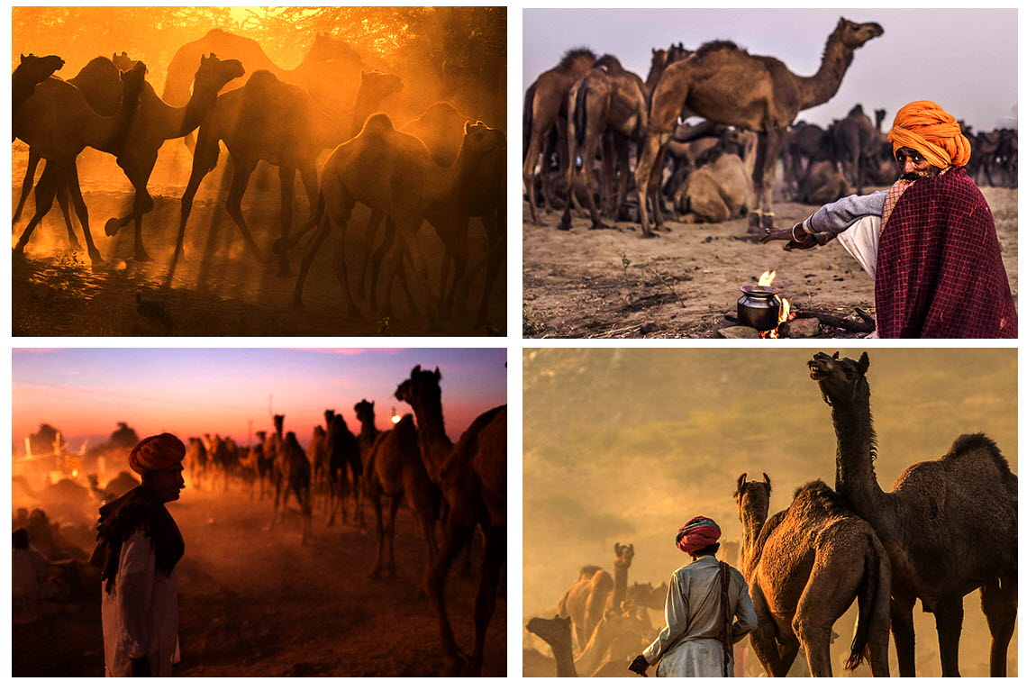 e194c5d14a78d9bca75edb00b9a36666_1773168270_0259.jpg e194c5d14a78d9bca75edb00b9a36666_1773168