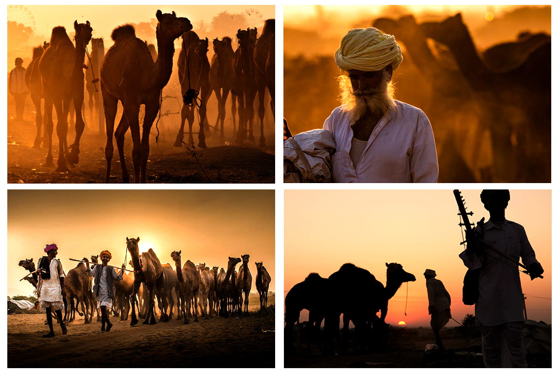 e194c5d14a78d9bca75edb00b9a36666_1773168274_7704.jpg e194c5d14a78d9bca75edb00b9a36666_1773168