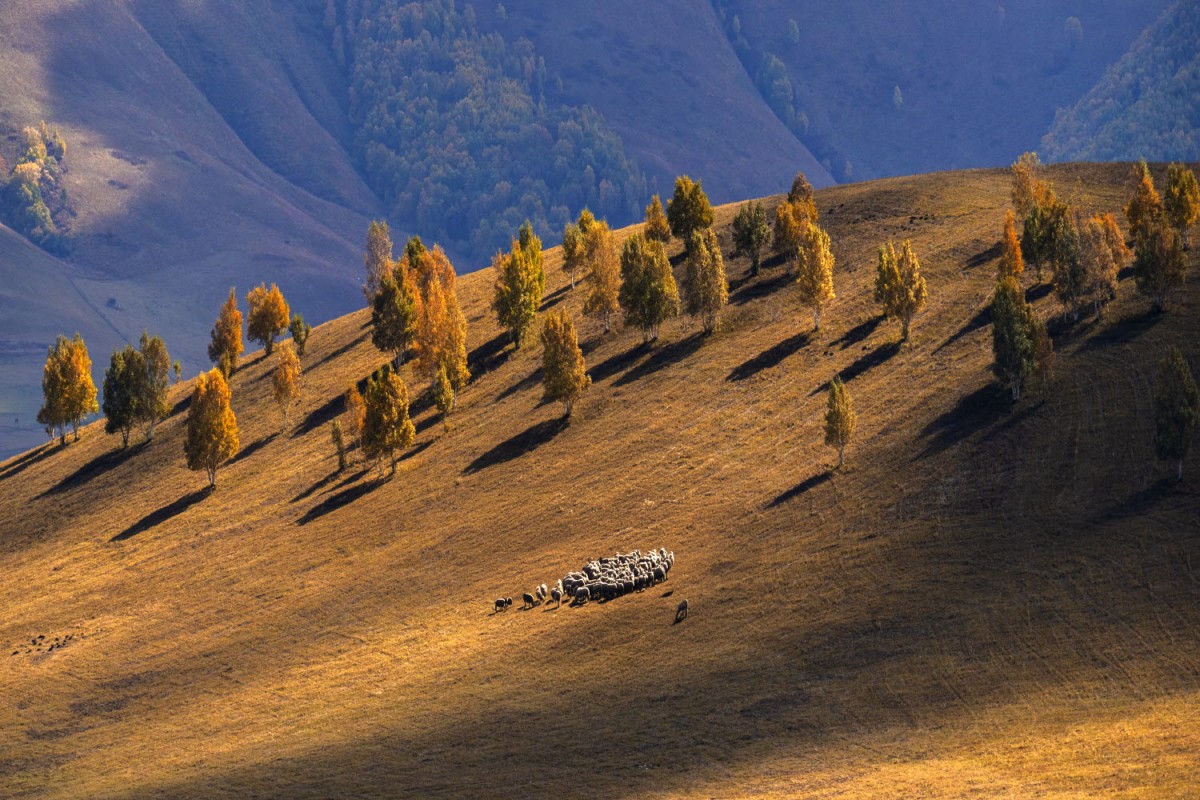 76b63a5c087bf0f90a562478afb0f484_1772471