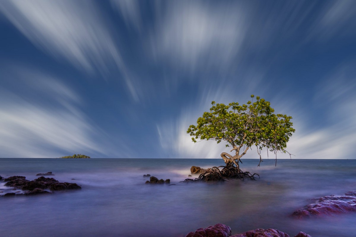 8f49cb61e20378edba53a8198f19c7e6_1772311