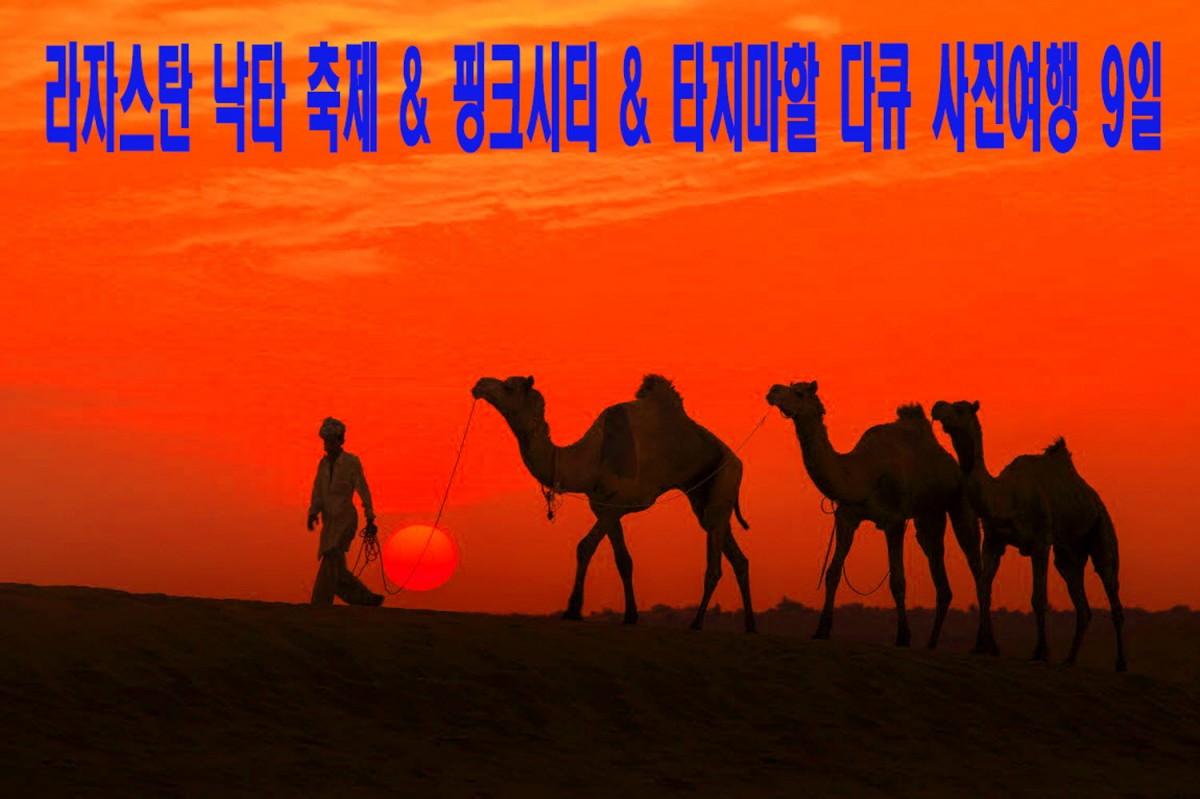 e194c5d14a78d9bca75edb00b9a36666_1773168