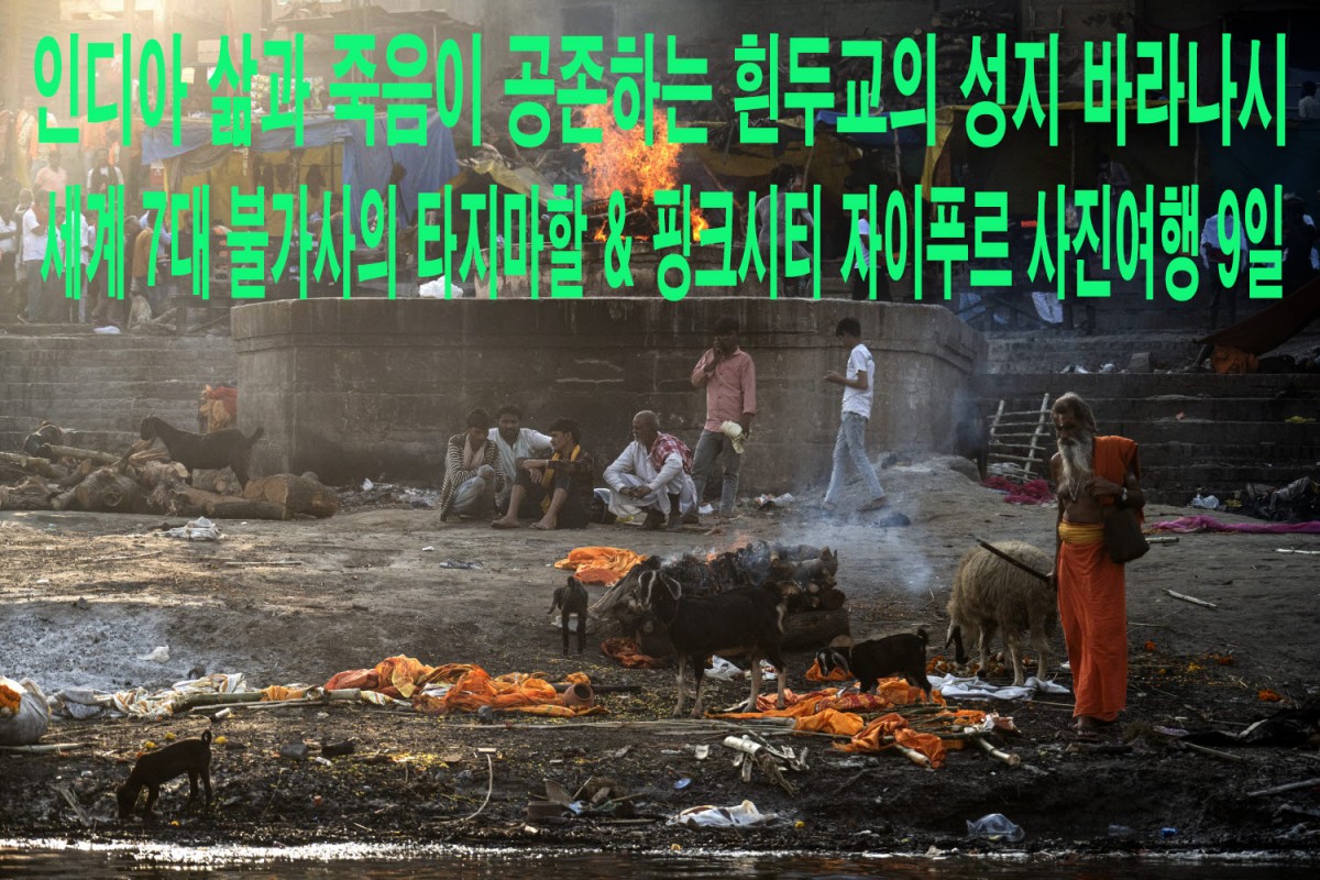 e194c5d14a78d9bca75edb00b9a36666_1773168