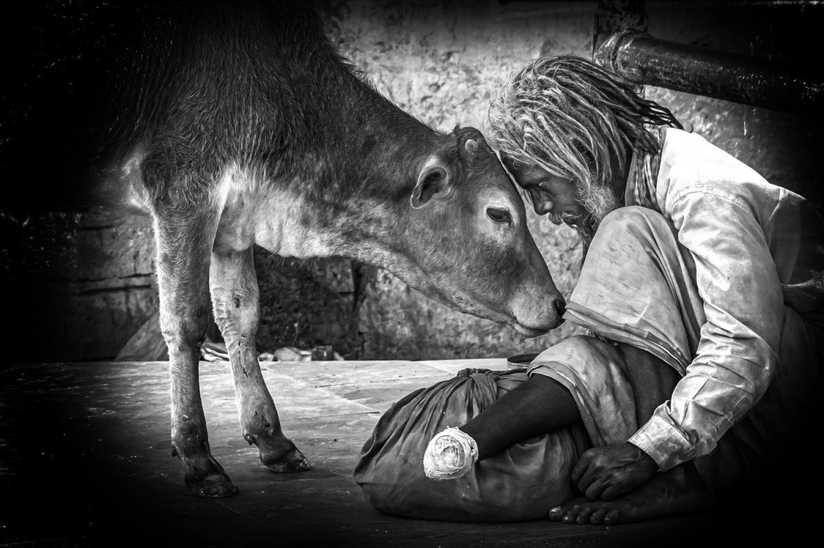 e194c5d14a78d9bca75edb00b9a36666_1773168