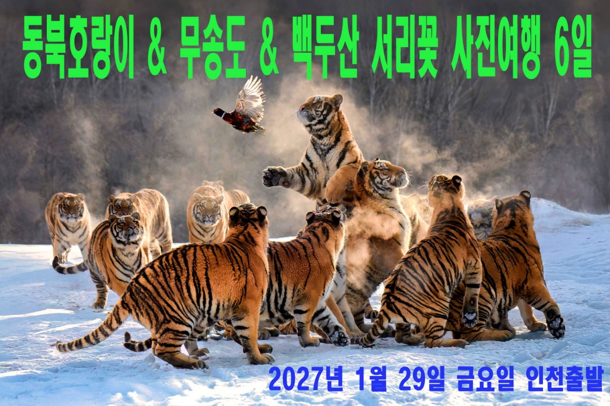 5bc5871832f6d76cae1c8bee5fb657f8_1787064
