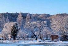 곡성휴게소 설경