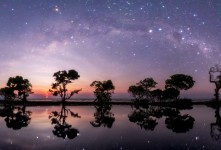 저 하늘의 별을 찾아서 - 엔…