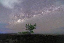 저 하늘의 별을 찾아서 - 엔…