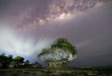 저 하늘의 별을 찾아서 - 엔…