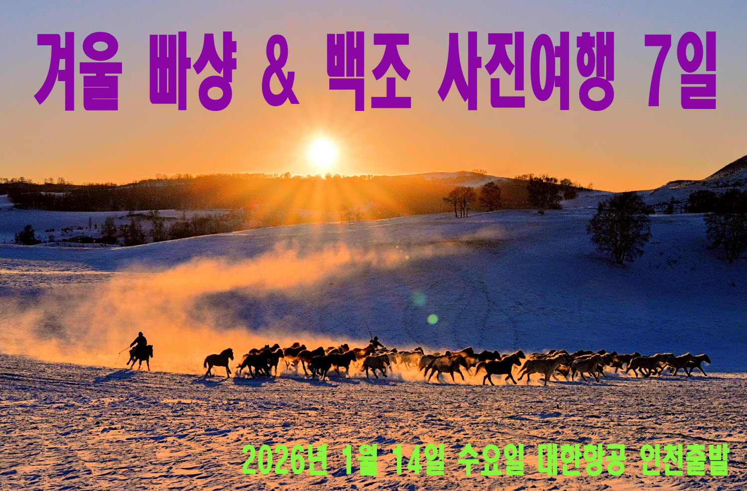빠상 백조