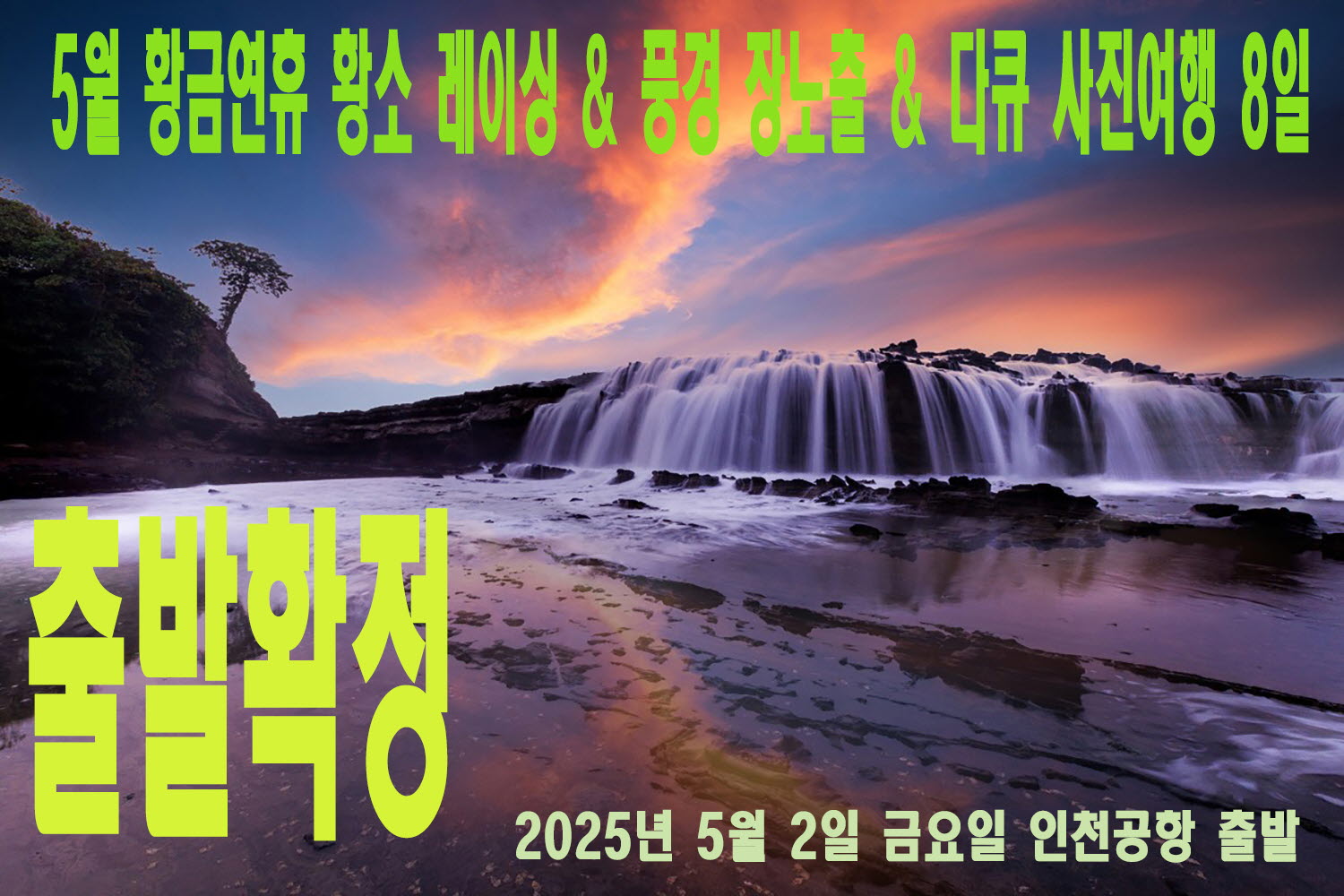 인도네시아 물소