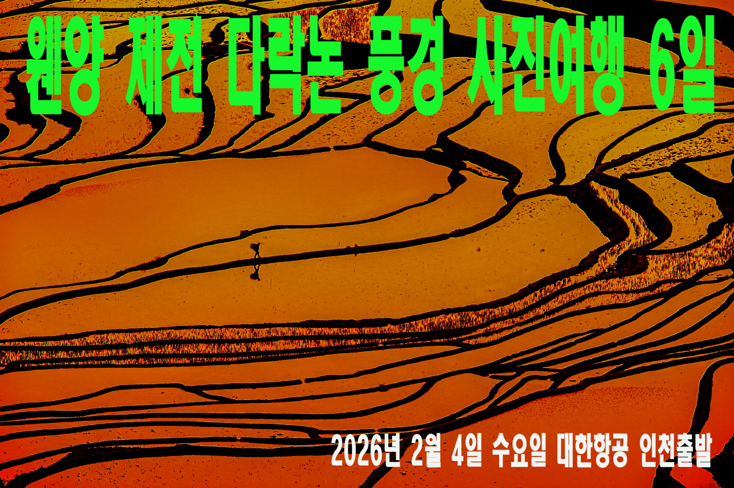 웬양