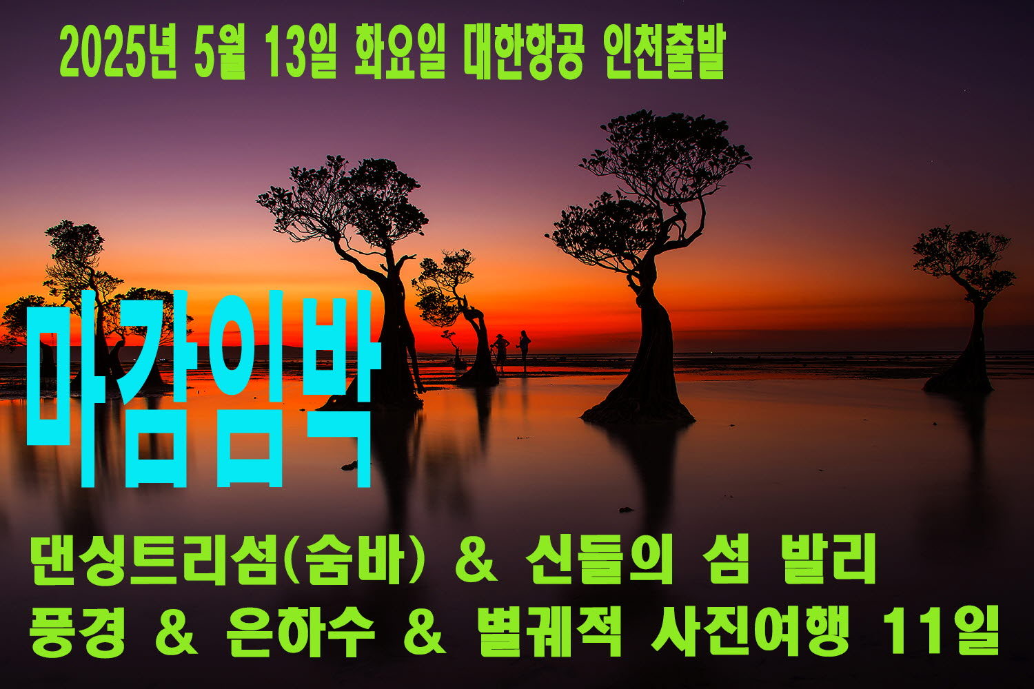 댄싱트리